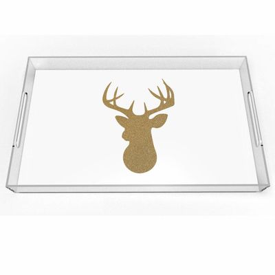 Square Clear Lucite Serving Tray 12x16 Inch Acrylic Material